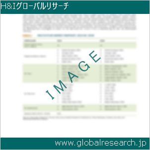 グローバルリサーチ調査レポートのイメージ